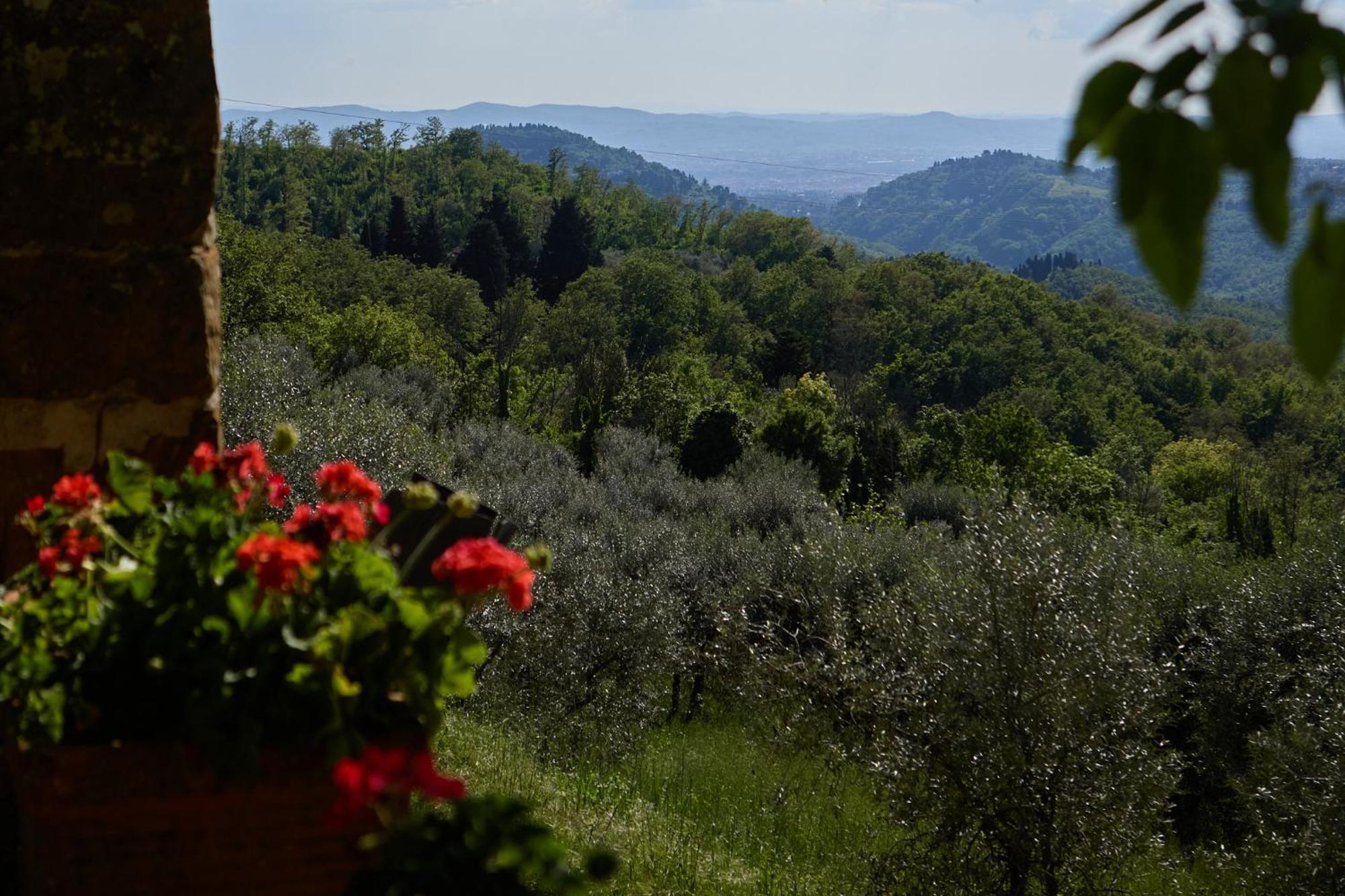 Fattoria Poggio Di Fiesole Villa Екстериор снимка